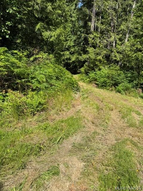 Fifth View of Lot 3 Palmer Rd, Errington, BC, V0R 1M0