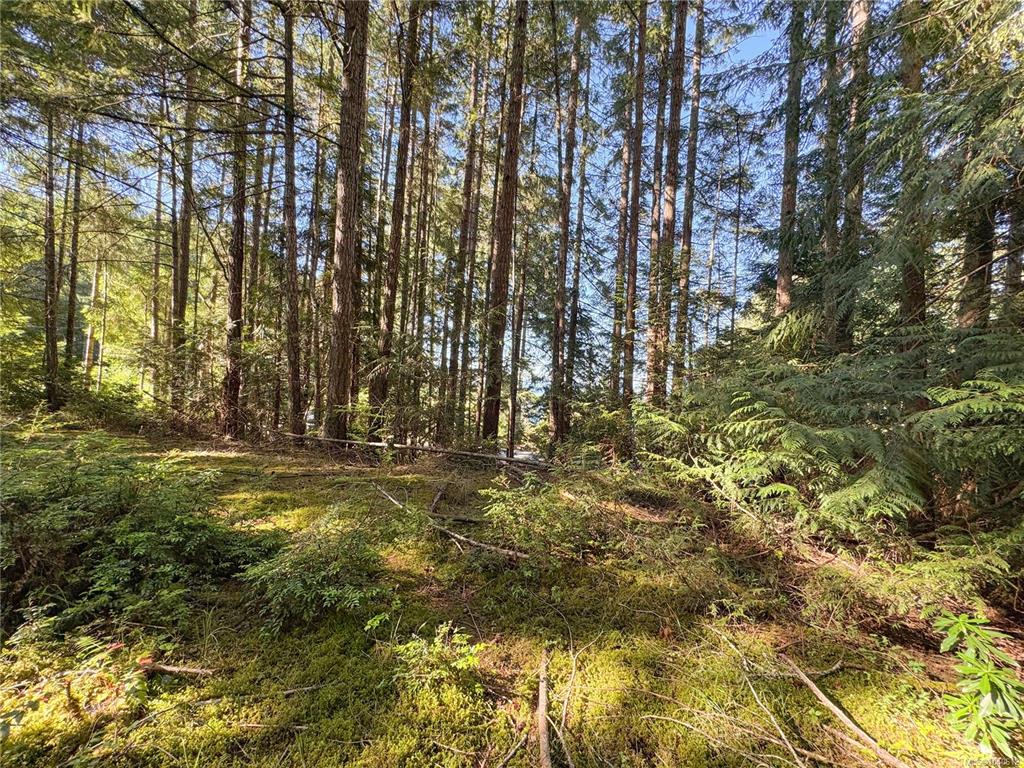 Fourth View of Lot 2 Wild Cherry Terr, Gabriola Island, BC, V0R 1X5
