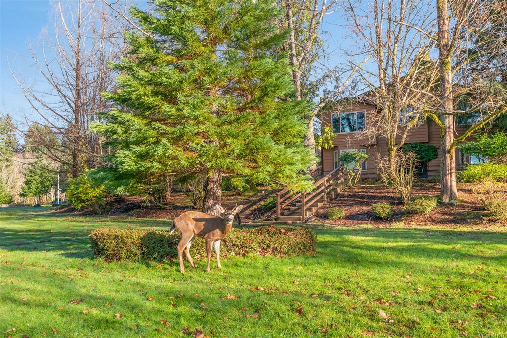 Third View of 3776 Argyle Way, Port Alberni, BC, V9Y 8A6