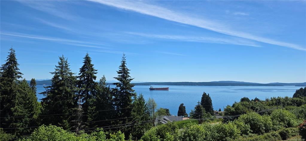 Fourth View of 10189 View St, Chemainus, BC, V0R 1K2