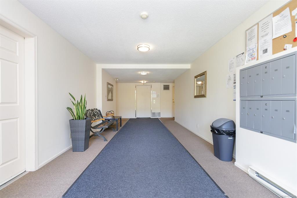 Fourth View of 3225 Alder St, Victoria, BC, V8X 1P3