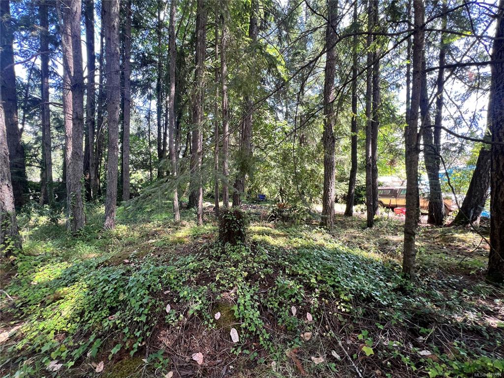 Third View of Lot B Chemainus Rd, Chemainus, BC, V0R 1K5