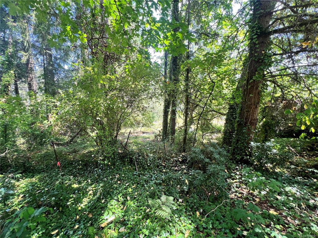 Fourth View of Lot B Chemainus Rd, Chemainus, BC, V0R 1K5