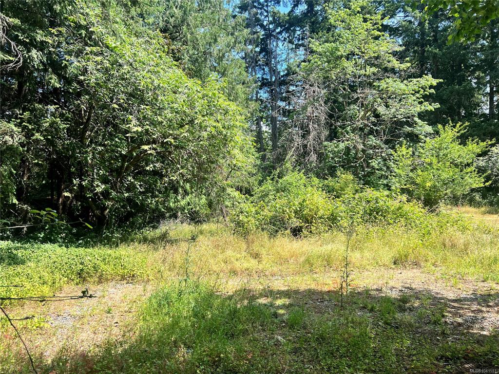 Fifth View of Lot B Chemainus Rd, Chemainus, BC, V0R 1K5