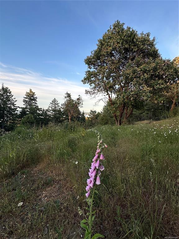 Third View of 130 Blackburn Rd, Salt Spring, BC, V8K 2B8