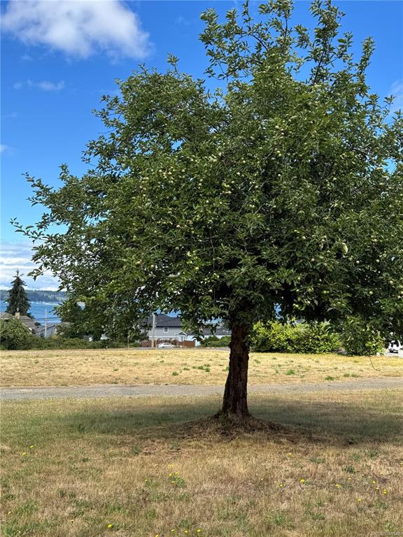 Fifth View of 3824 Ross Ave, Royston, BC, V0R 2V0