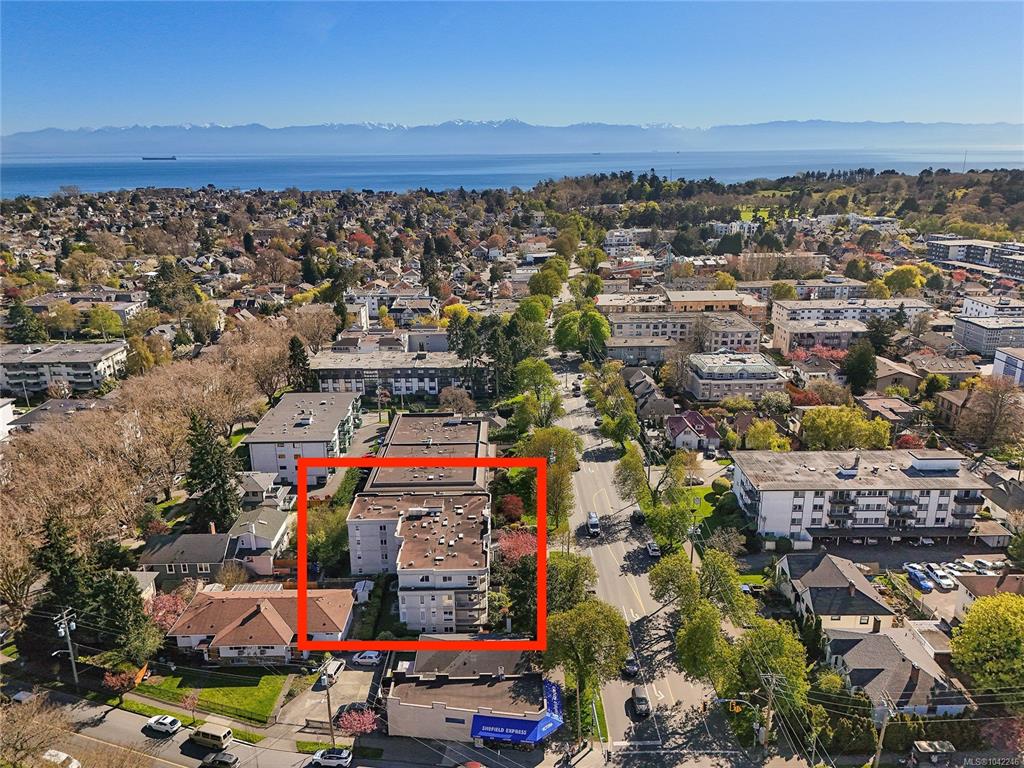 Third View of 445 Cook St, Sterling Park, Victoria, BC, V8V 3Y2