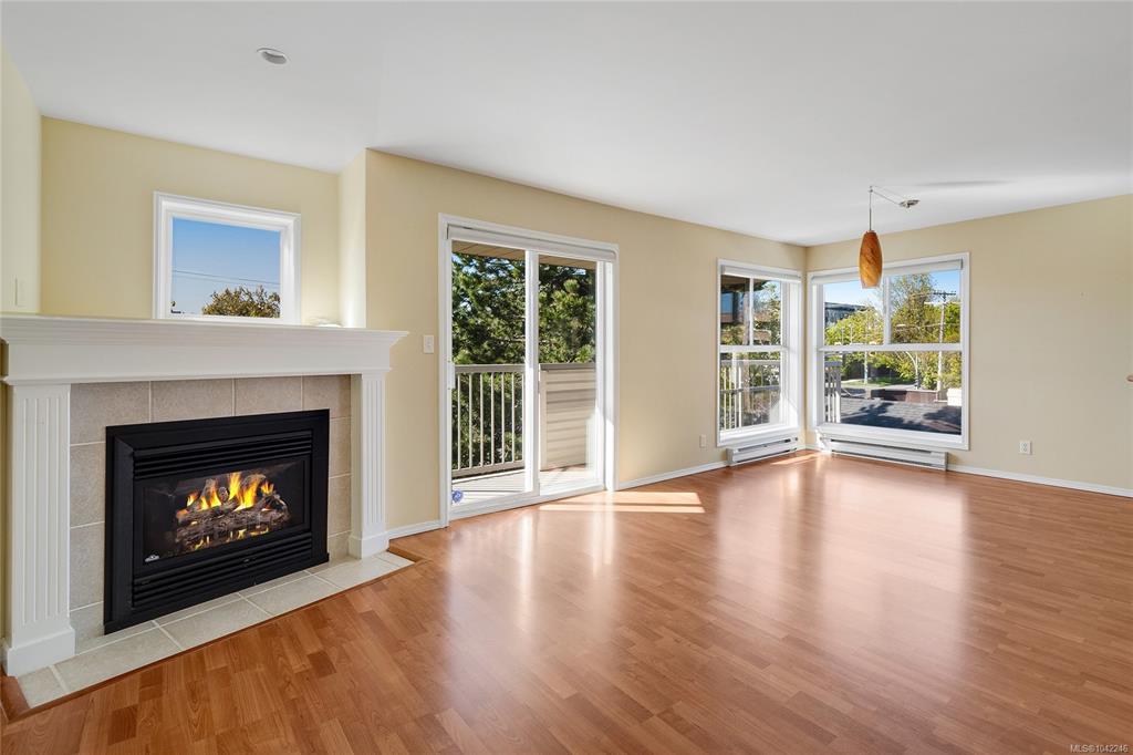 Fifth View of 445 Cook St, Sterling Park, Victoria, BC, V8V 3Y2