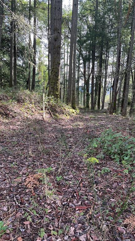 Lot A Ebadora Lane, 1042497, BC,
