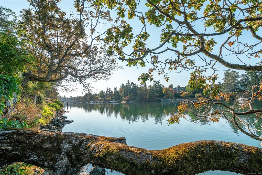Second View of 69 Gorge Rd W, Saanich, BC, V9A 1L9