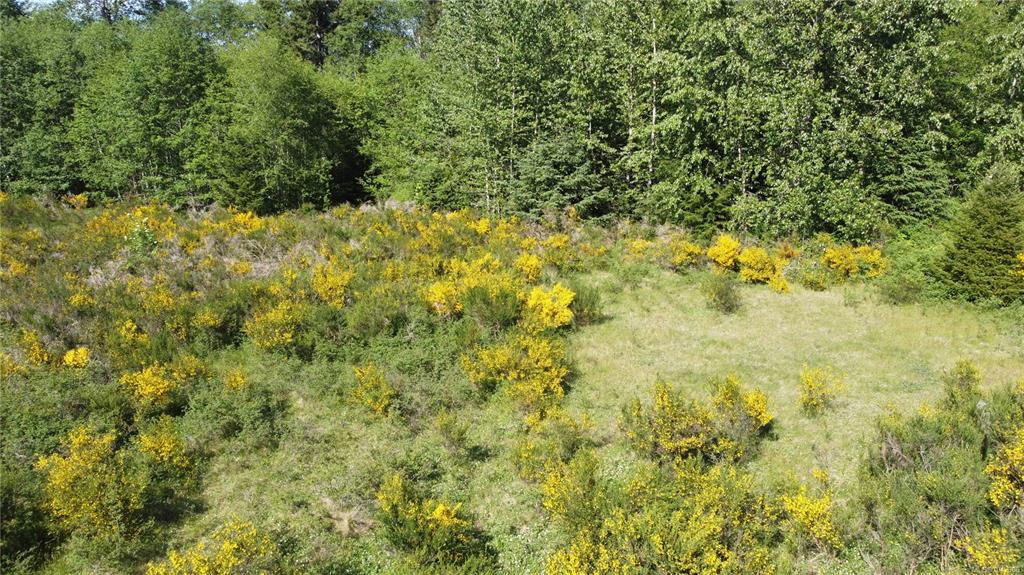 Fifth View of 691 Kelsey Way, Sayward, BC, V0P 1R0