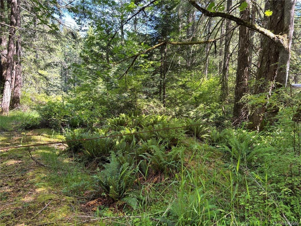 Third View of 5596 Munn Rd, Highlands, BC, V9E 1G7