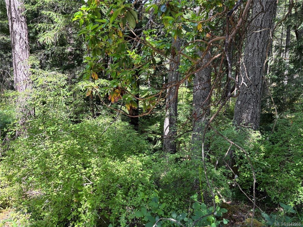 Fifth View of 5596 Munn Rd, Highlands, BC, V9E 1G7