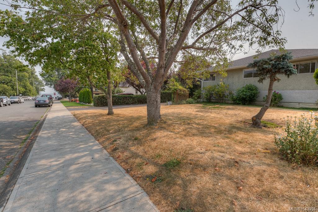 Third View of 2663 2665 Dalhousie St, Oak Bay, BC, V8R 2H8