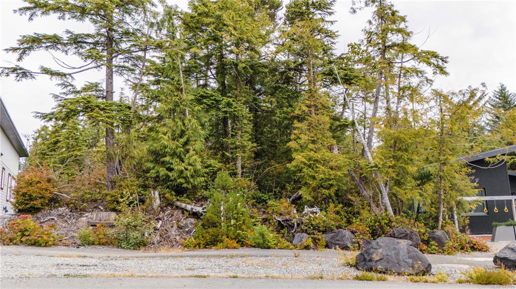 Lot 50 Cedar Grove, 1043126, BC,