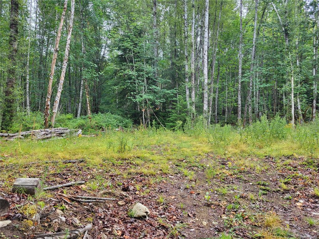 Third View of 7531 Cowichan Lake Rd, Lake Cowichan, BC, V0R 2G0