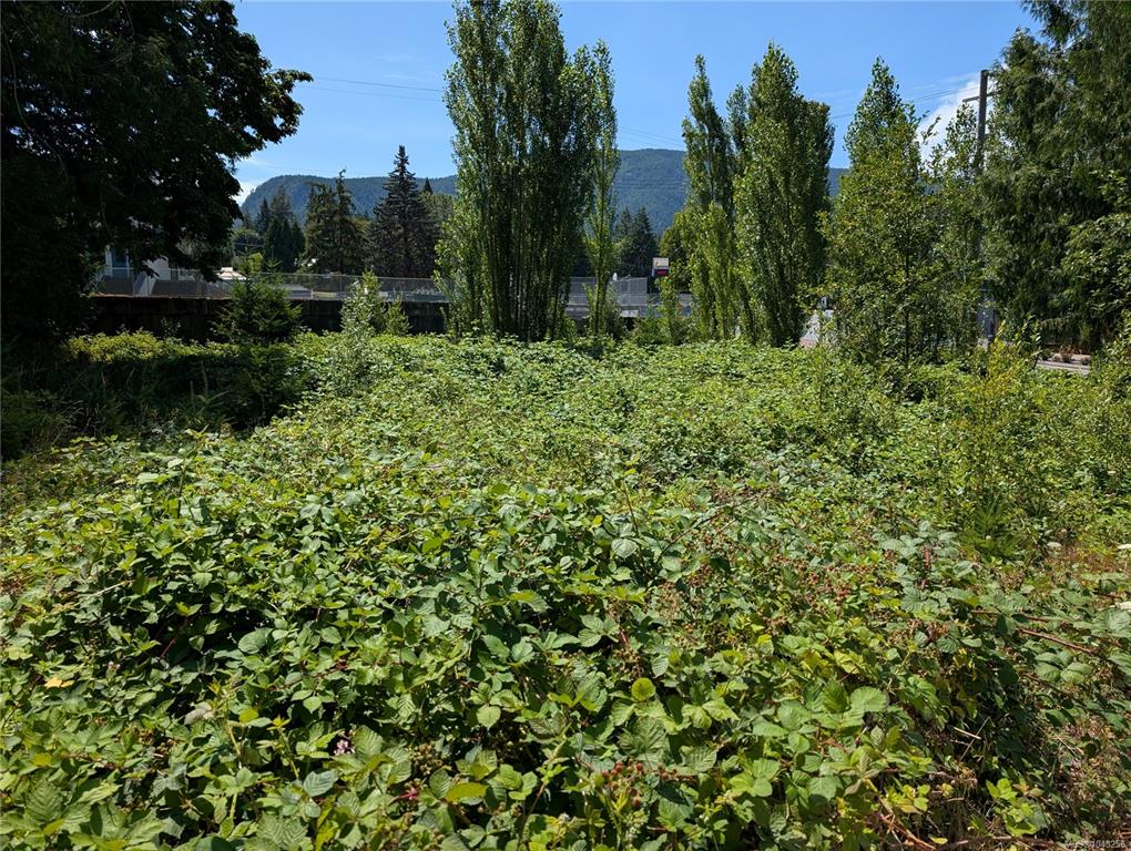 Third View of 96 Cowichan Ave, Lake Cowichan, BC, V0R 2G0