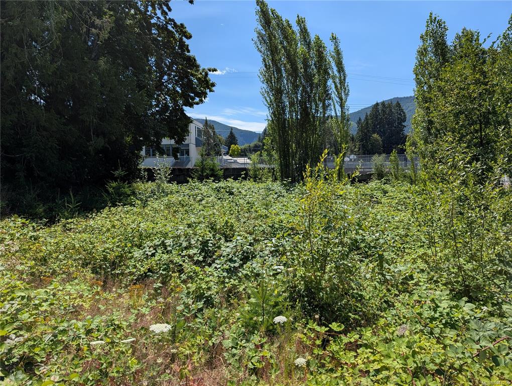 Fourth View of 96 Cowichan Ave, Lake Cowichan, BC, V0R 2G0