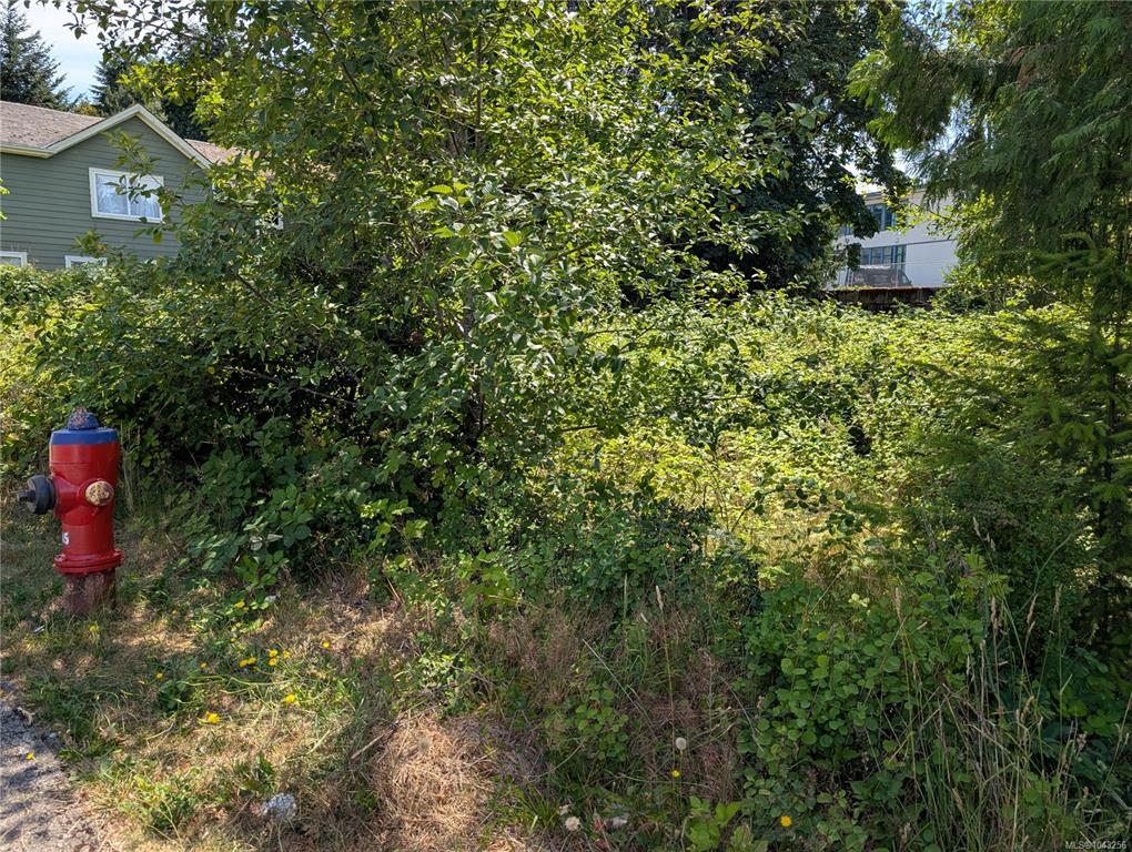 Fifth View of 96 Cowichan Ave, Lake Cowichan, BC, V0R 2G0