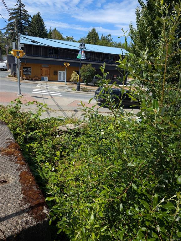Fifth View of 172 South Shore Rd, Lake Cowichan, BC, V0R 2G0