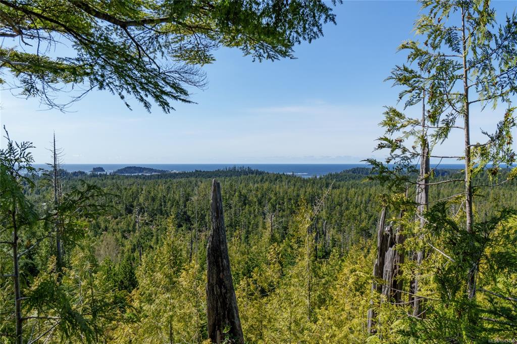 Fifth View of Lot 13 Uplands Way, Uplands at Ittatsoo Bay, Ucluelet, BC, V0R 3A0
