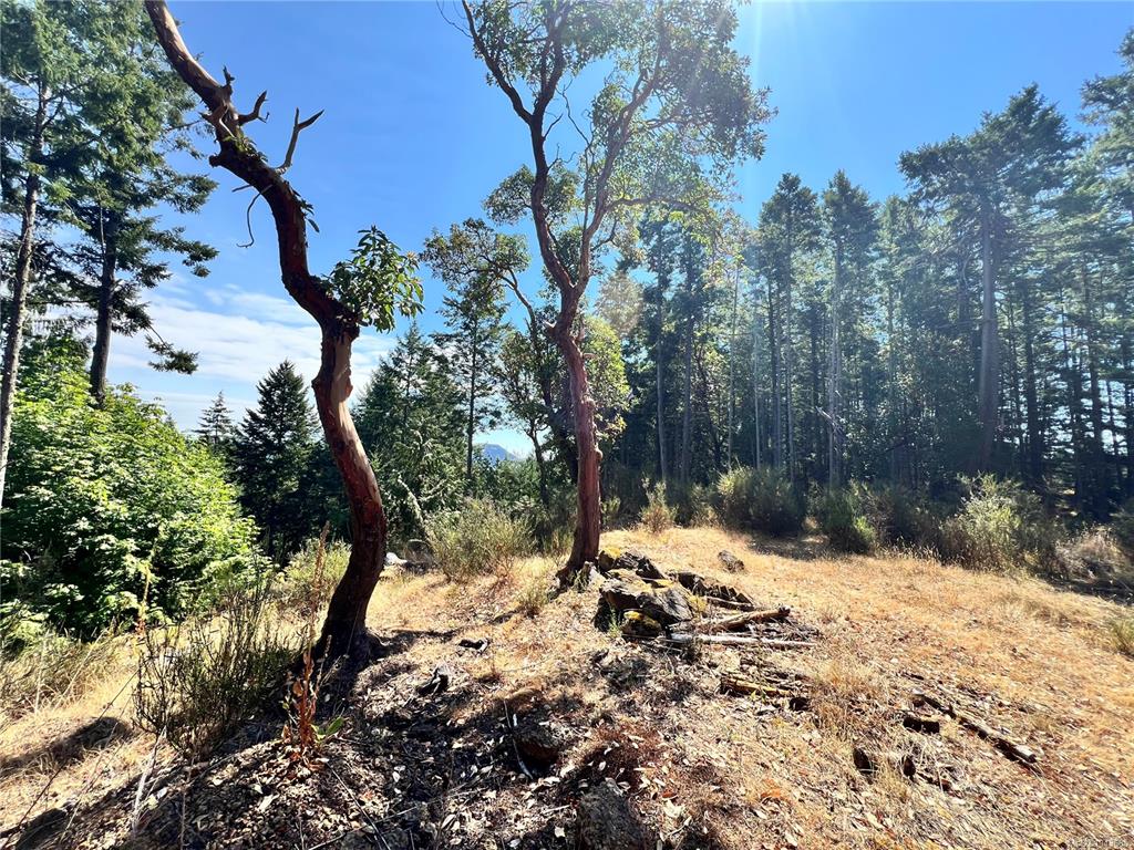 Third View of 131 Rainforest Rd, Salt Spring, BC, V8K 1S4