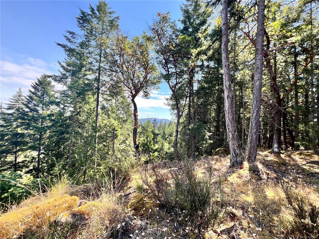 Fourth View of 131 Rainforest Rd, Salt Spring, BC, V8K 1S4