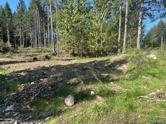 Fifth View of Lot 4 Appaloosa Way, Duncan, BC, V9L 6J1