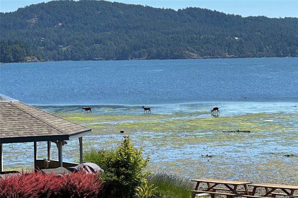 Fourth View of 2057 Kaltasin Rd, Sooke, BC, V9Z 0B9