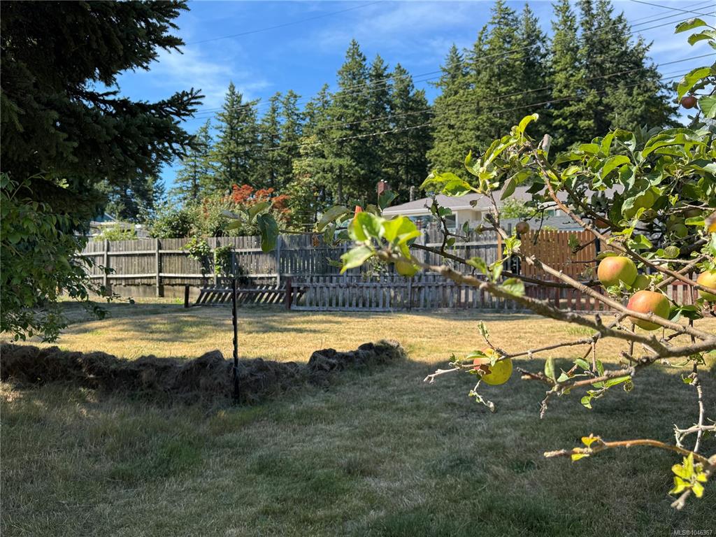 Third View of 172 Mclean St, Campbell River, BC, V9W 2M3