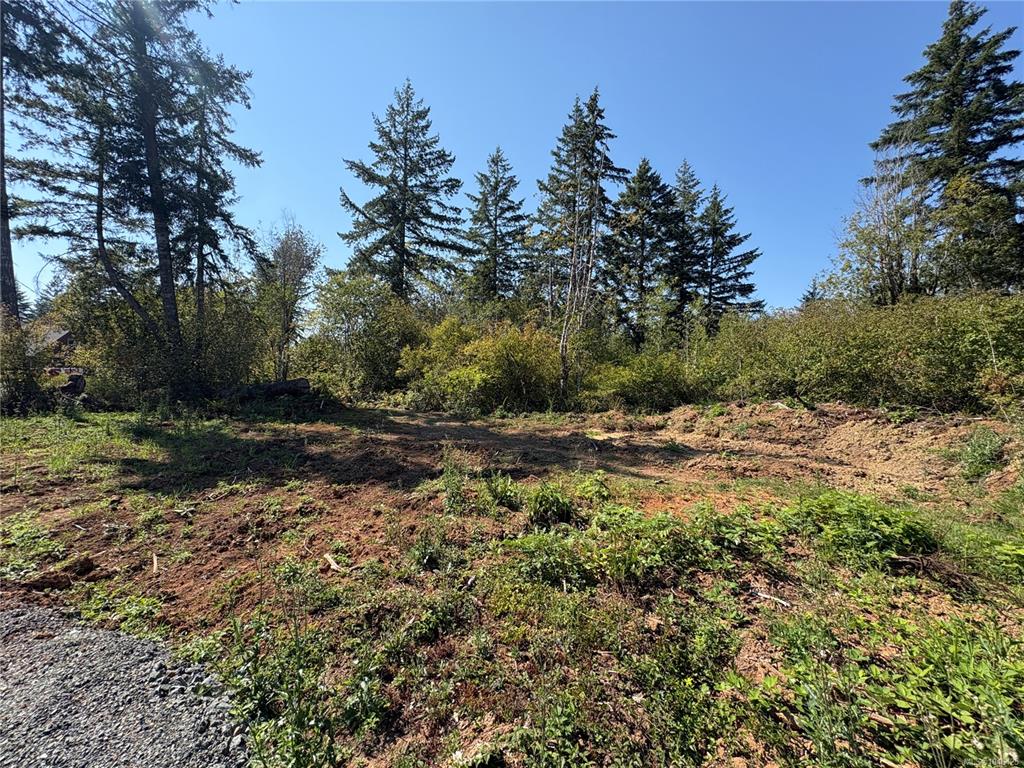 Fifth View of Lot 2 Mersey Rd, Port Alberni, BC, V9Y 8W4