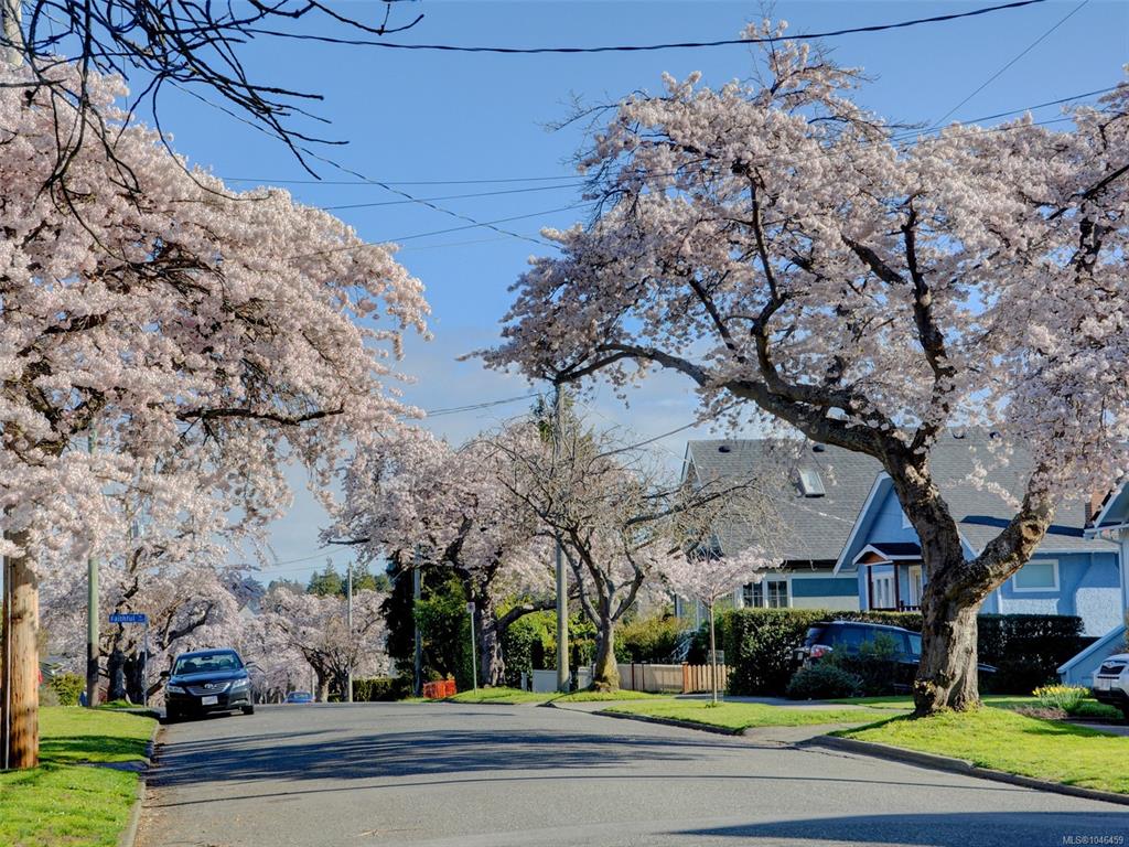Third View of 1146 Faithful St, Victoria, BC, V8V 2R4