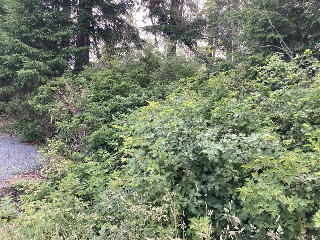 Fifth View of 2364 French Rd, Sooke, BC, V9Z 0M5
