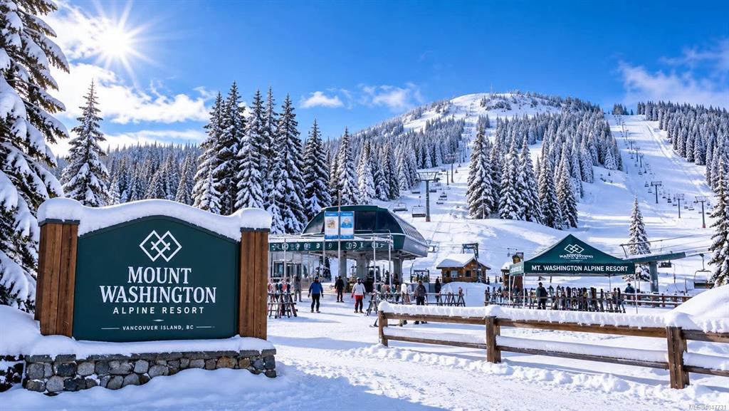 645 Arrowsmith Ridge, 1047731, BC,