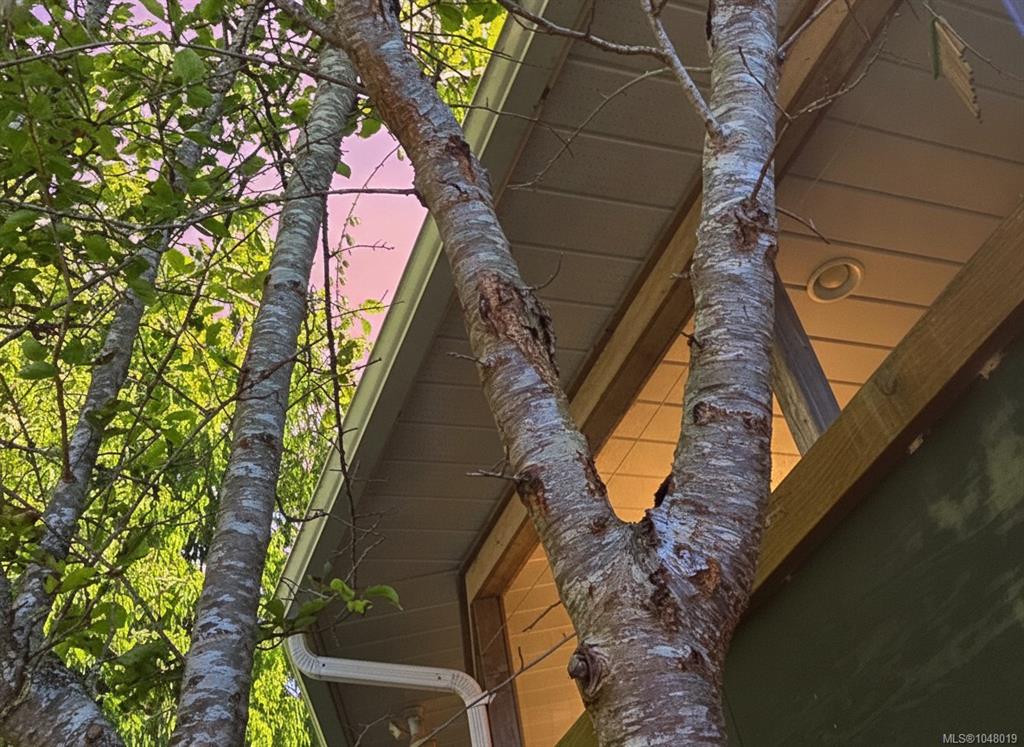 Fifth View of 585 1st St, Sointula, BC, V0N 3E0