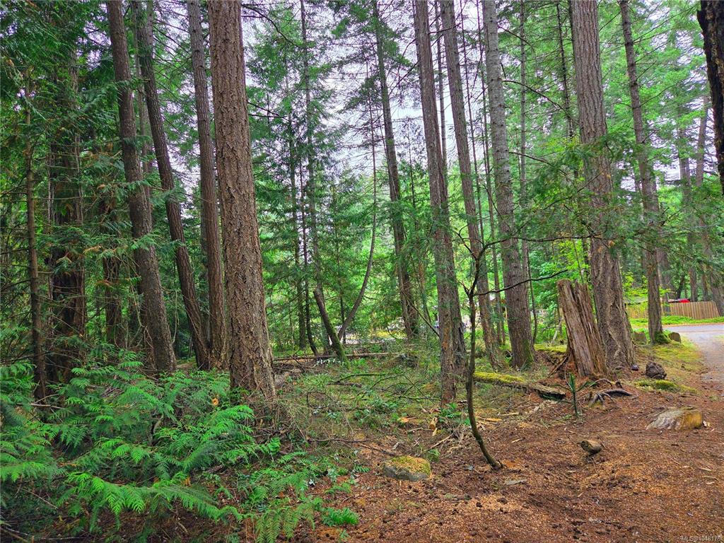 Fifth View of 323 Davis Rd, Gabriola Island, BC, V0R 1X1
