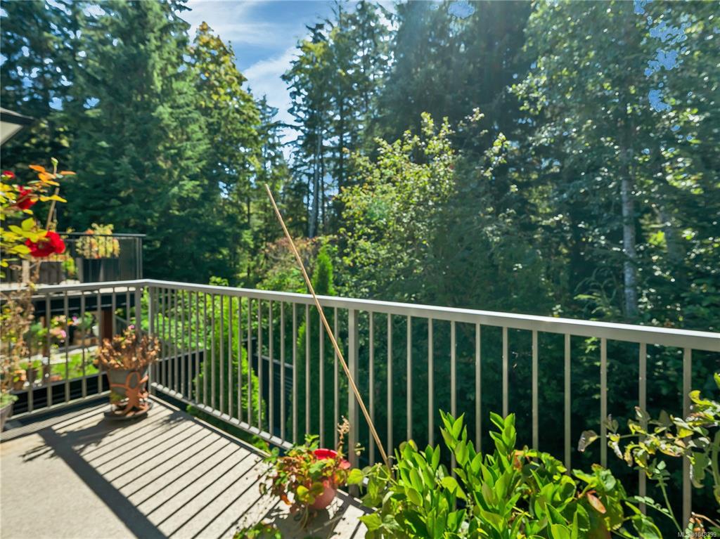 Fifth View of 1424 Alder St S, Campbell River, BC, V9W 0B4