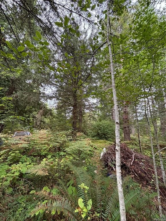 Third View of Lot 23 Pratt Rd, Errington, BC, V9K 1W7