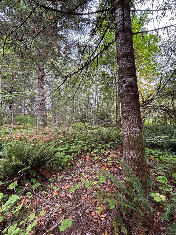 Fourth View of Lot 23 Pratt Rd, Errington, BC, V9K 1W7