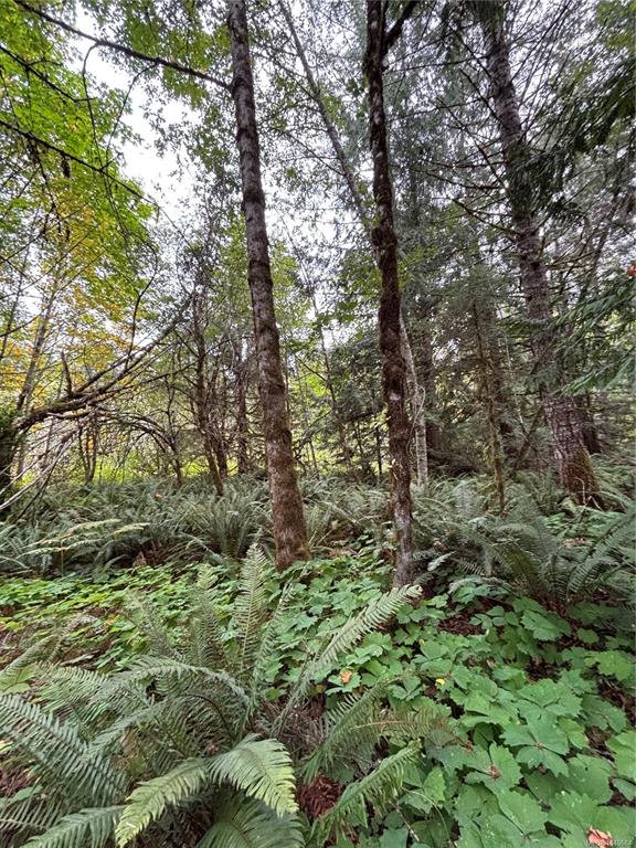 Fifth View of Lot 23 Pratt Rd, Errington, BC, V9K 1W7