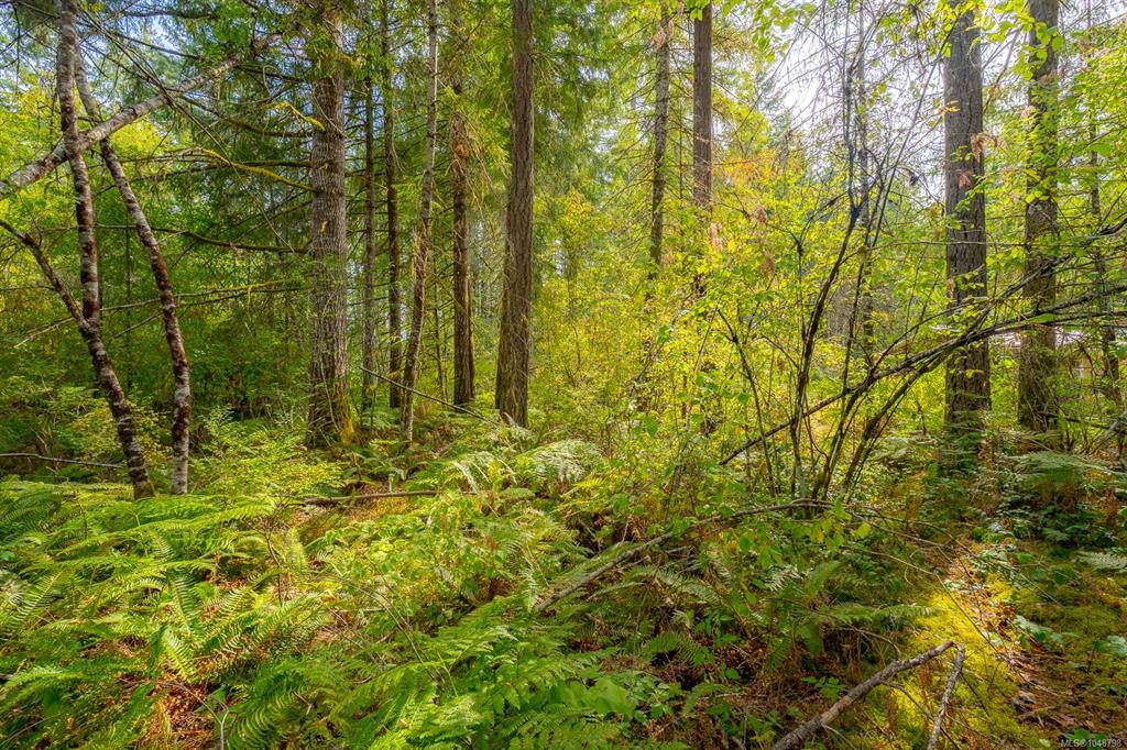 Fifth View of Lot B Fern Rd, Port Alberni, BC, V9Y 8W9