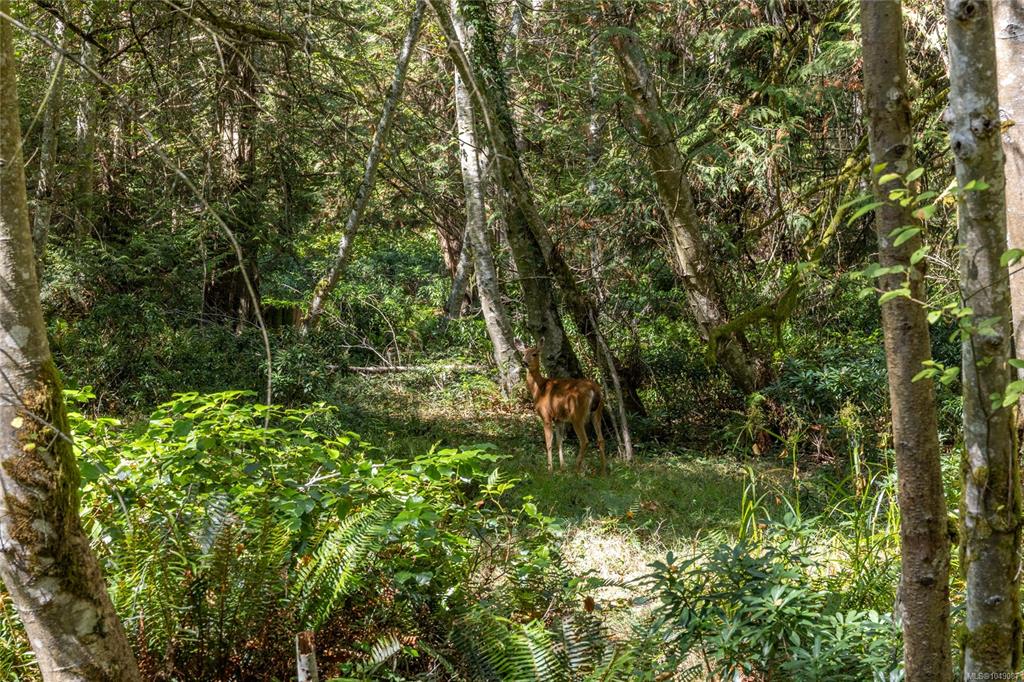 Fifth View of Lot 4 Schooner Way, Pender Island, BC, V0N 2M1