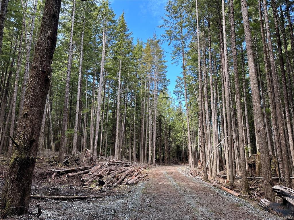 Fifth View of Lt 15 Mitchell Bay Rd, Malcolm Island, BC, V0N 3E0