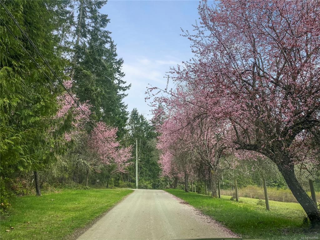 899 875 Andreef Rd, 1049986, BC,