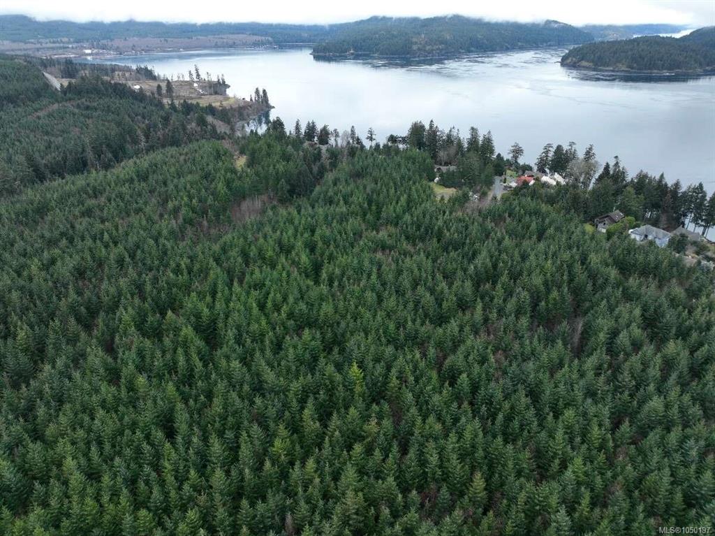 Fifth View of 5567 Raceway Rd, Campbell River, BC, V9H 1N9