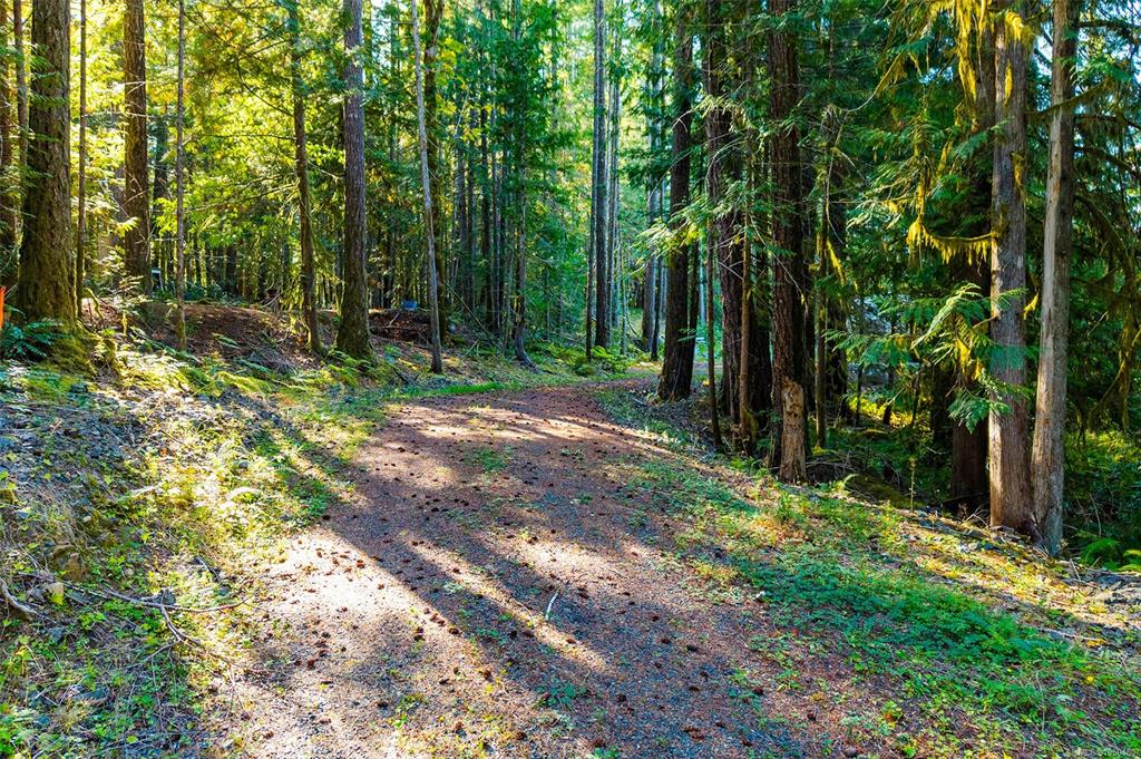 Fifth View of 10298 South Dr, Port Alberni, BC, V9Y 9A9