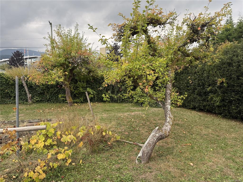 Third View of 532 Buller St, Ladysmith, BC, V9G 1A3