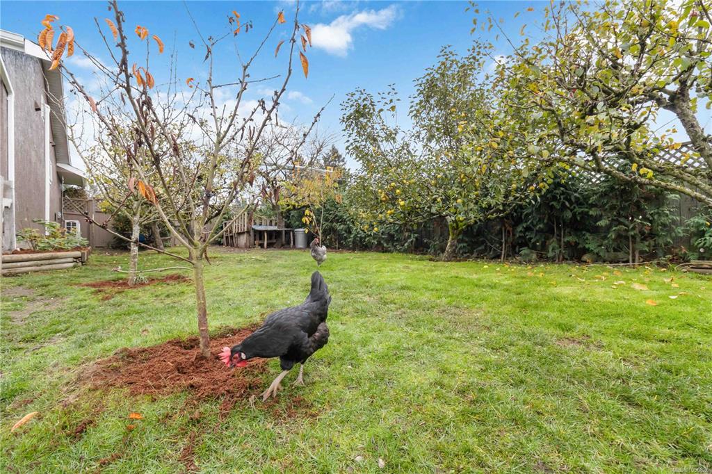 Fourth View of 6756 Central Saanich Rd, Central Saanich, BC, V8Z 5V2