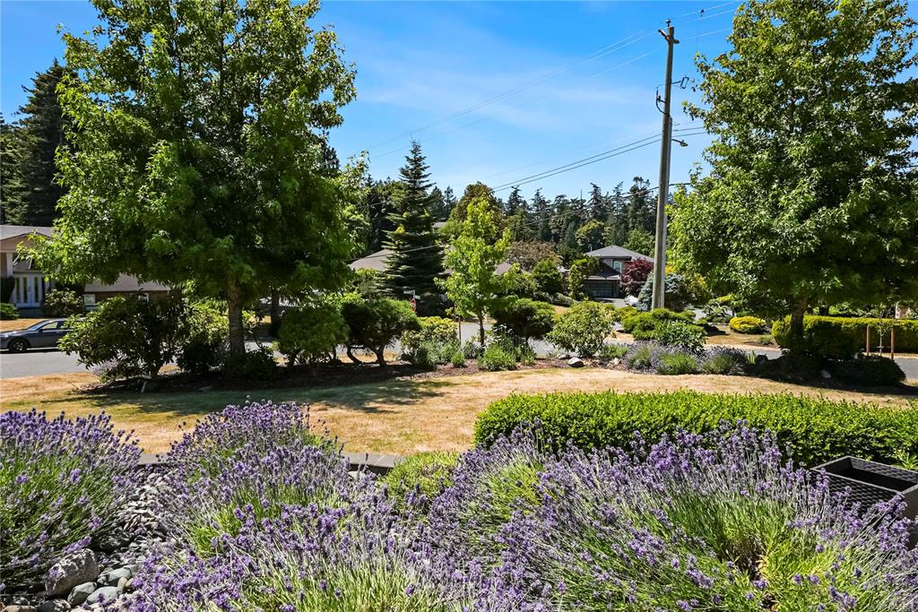 Fourth View of 800 Alvarado Terr, Saanich, BC, V8Y 1G4