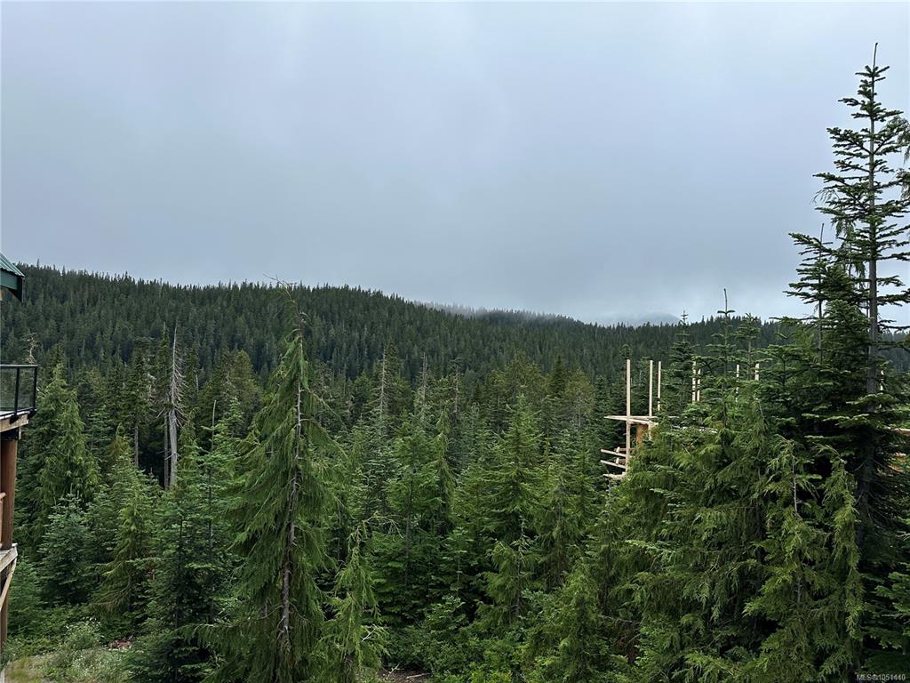 Fourth View of 625 Arrowsmith Ridge, Courtenay, BC, V9J 1L0